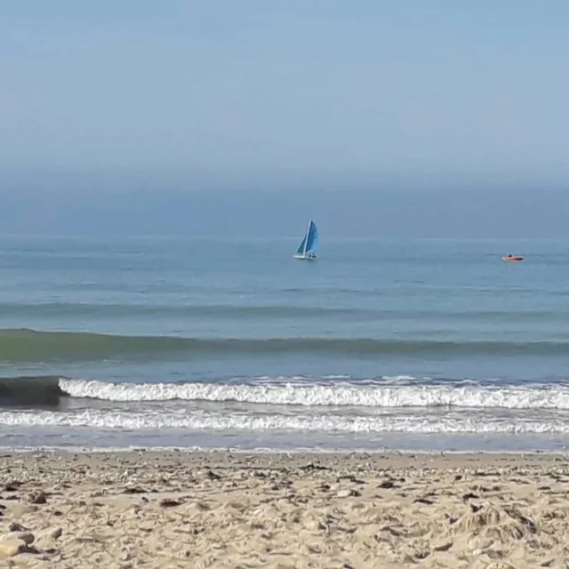 Instagram #iledere