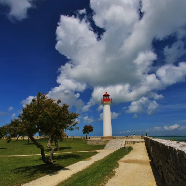 Instagram #iledere