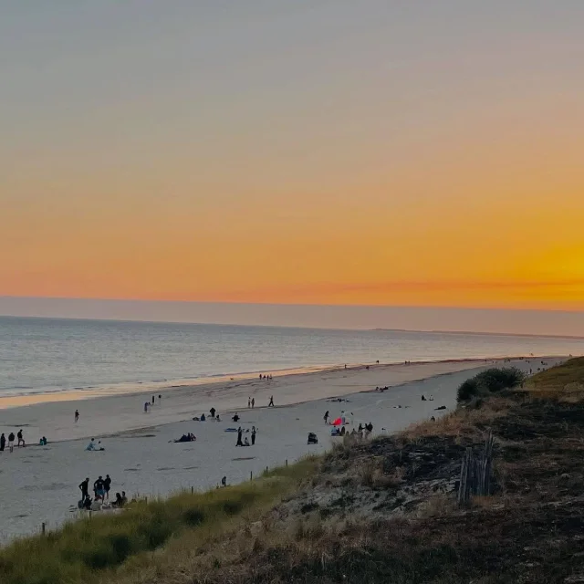 Instagram #iledere