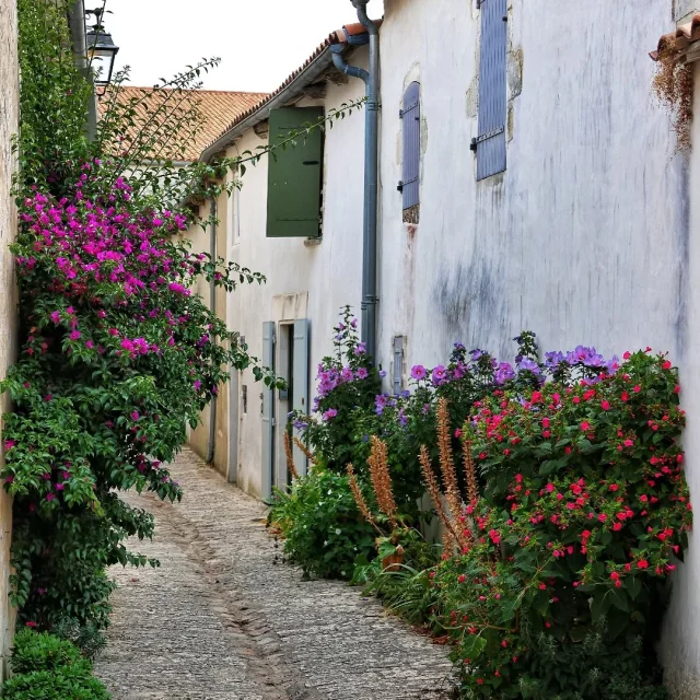 Instagram #iledere