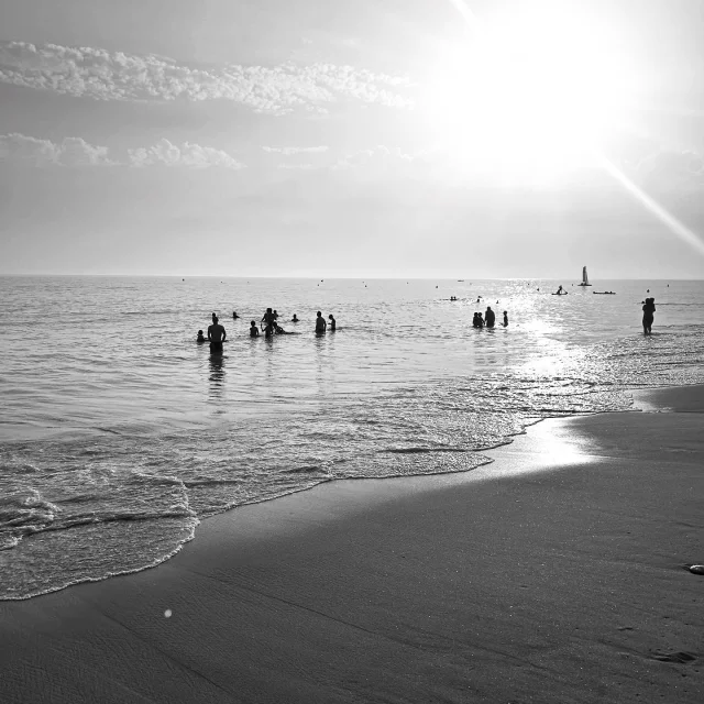 Instagram #iledere