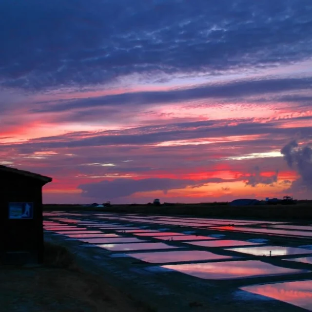 Instagram #iledere