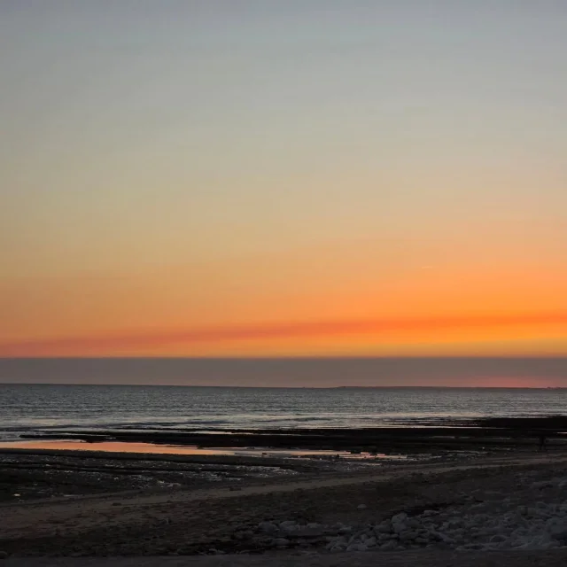 Instagram #iledere