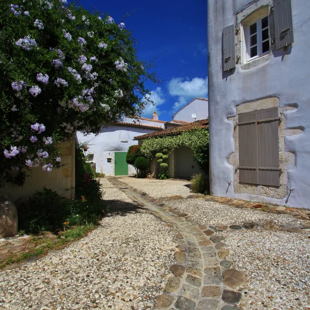 Instagram #iledere