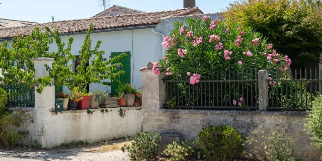 Rue paisible bordée de fleurs dans le village de Sainte-Marie.