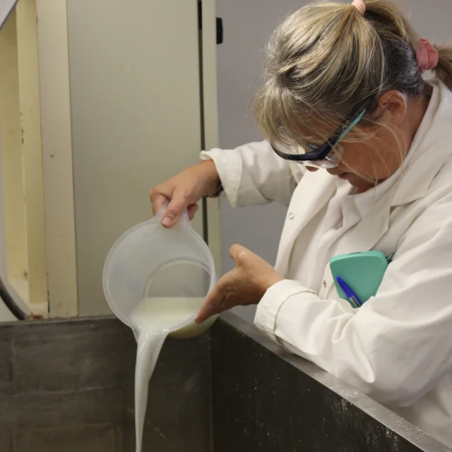 Fabrication De Savons Par Loix Et Savons Rotated