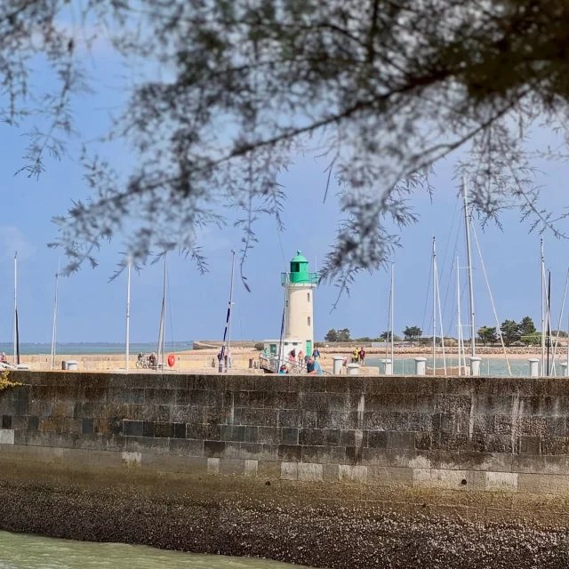 Instagram #iledere