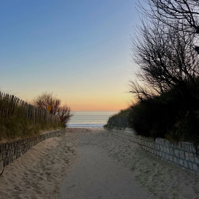 Instagram #iledere