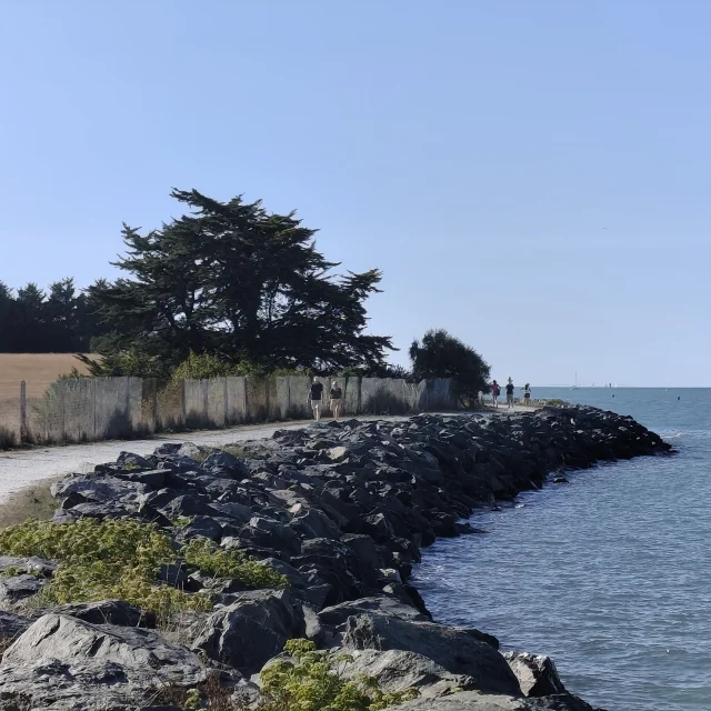 Promeneurs marchant sur un sentier côtier bordé de rochers au bord de la mer, avec des arbres en arrière-plan