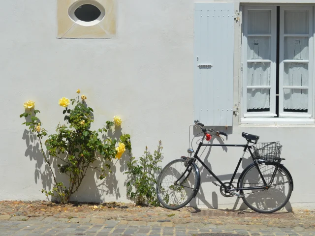 Vélo posé contre une façade blanche aux volets bleus, bordée de roses trémières, typique de l’Île de Ré.
