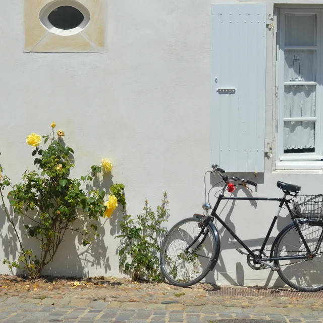 Vélo posé contre une façade blanche aux volets bleus, bordée de roses trémières, typique de l’Île de Ré.