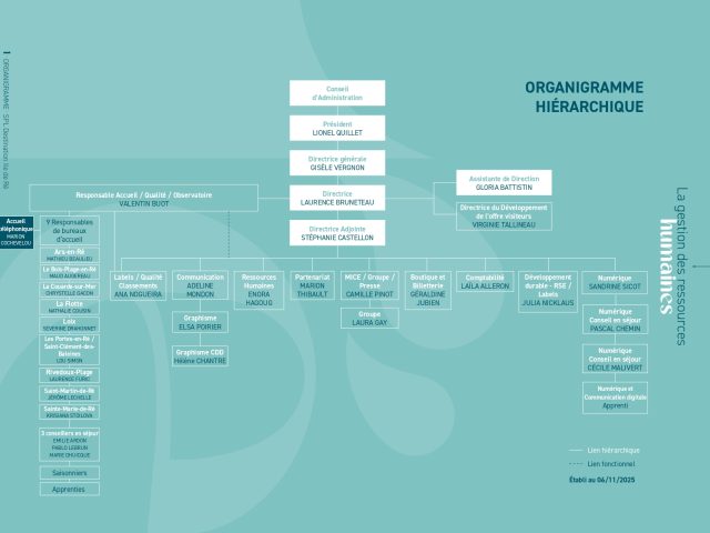 Organigramme Hierarchique Destination Ile de Ré - Nov 2025