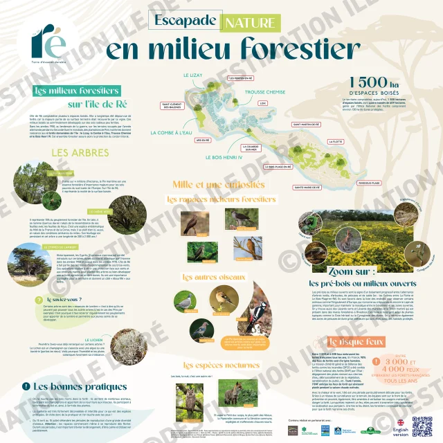 2024 Panneau 90x90cm Echapee Nature Milieu Forestier