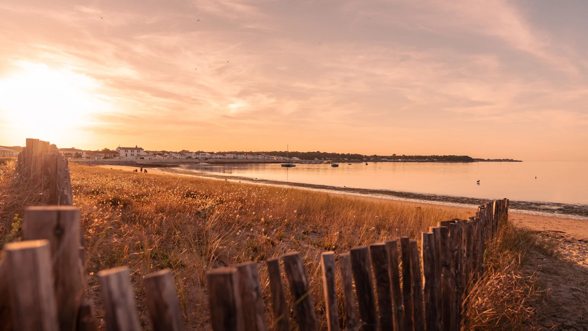 Beach on Île de Ré at sunset with wooden fence, dunes and calm sea.