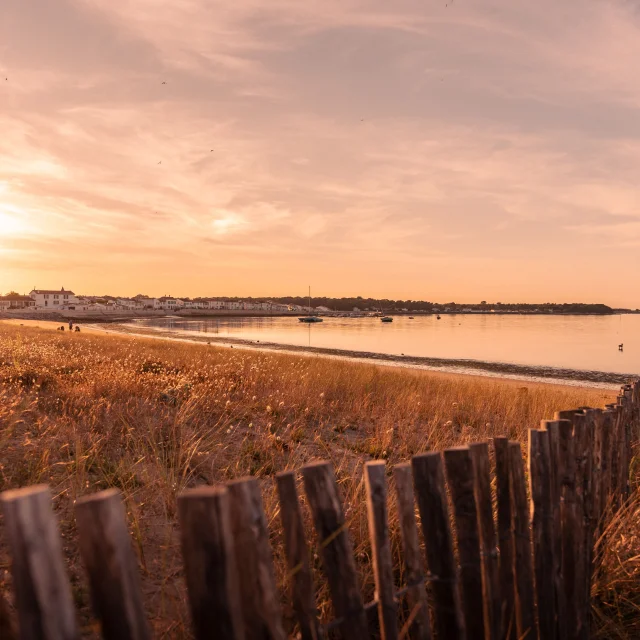 Plage de l'île de Ré au coucher du soleil avec ganivelle en bois, dunes et mer calme.