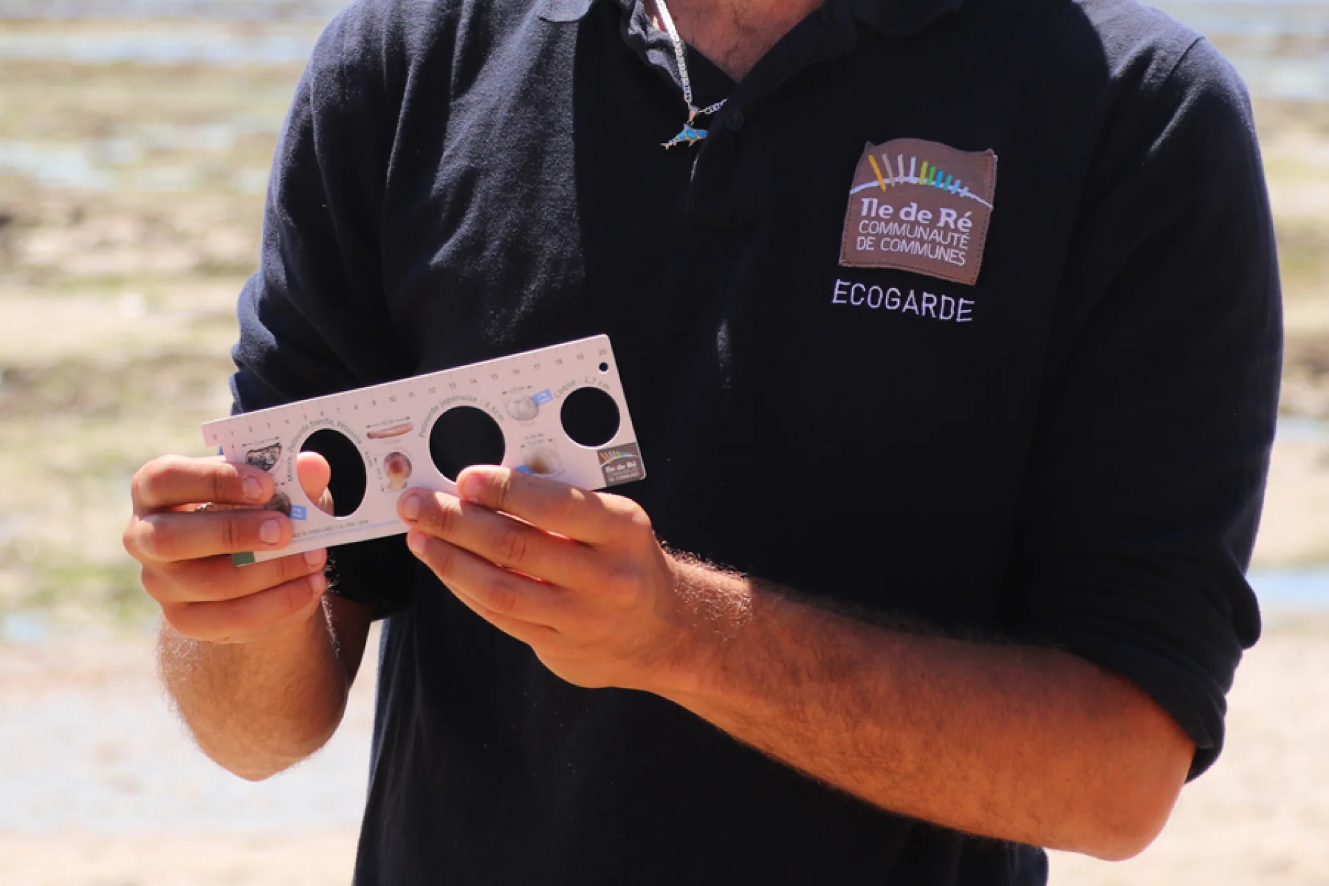 Personne présentant une réglette servant à mesurer la taille des captures en pêche à pied.