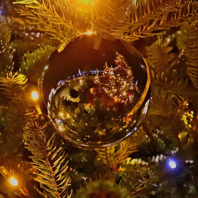 Instagram #destinationiledere