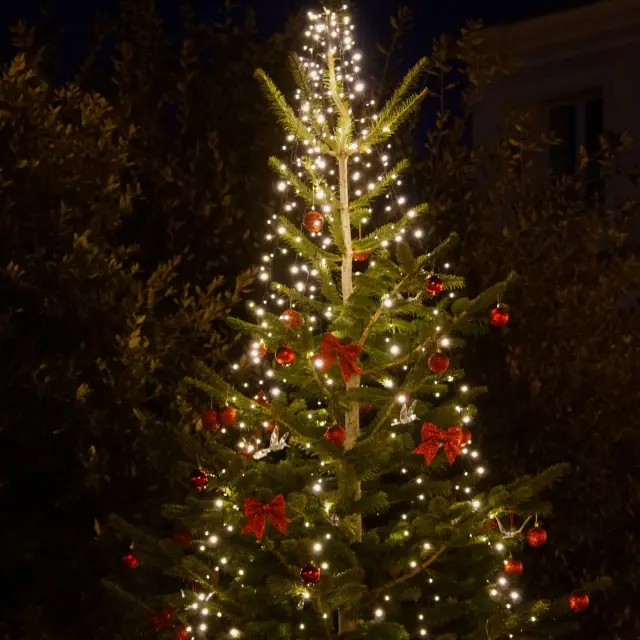 Instagram #destinationiledere