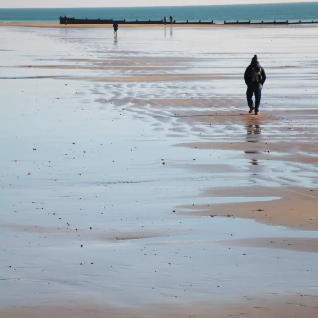 Instagram #lacouardesurmer