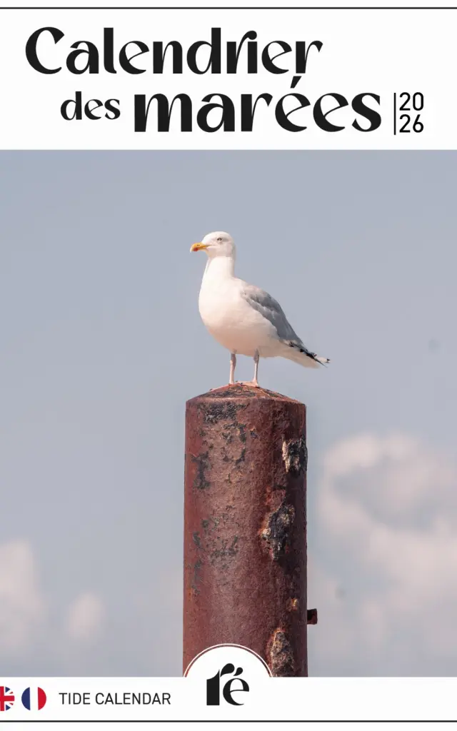 Couverture du calendrier des marées 2026 avec une mouette sur un pieu.