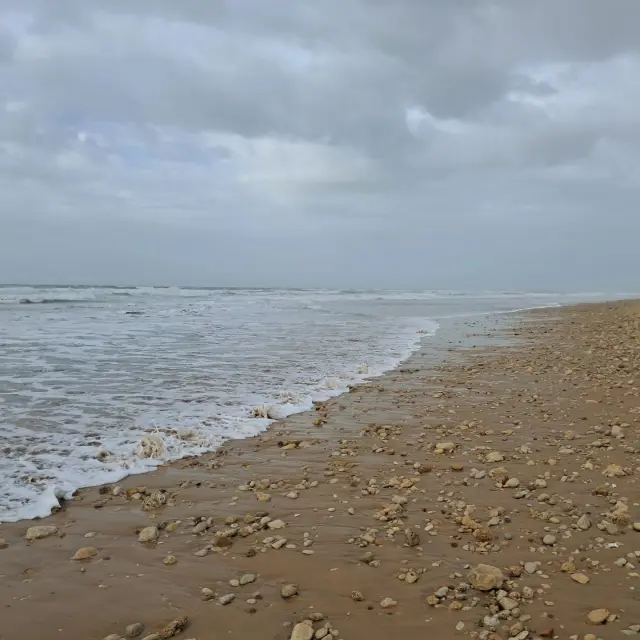 Instagram #leboisplage