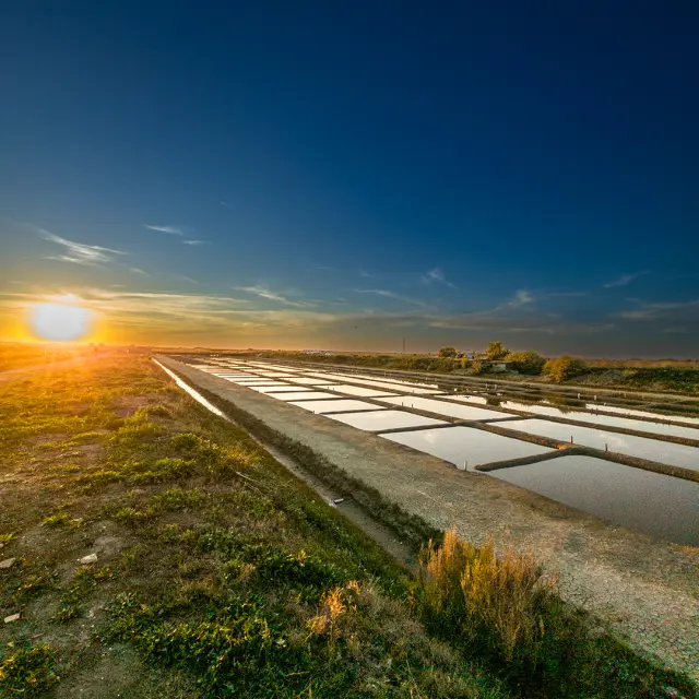 Instagram #destinationiledere