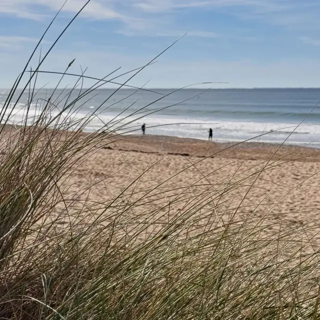 Instagram #leboisplage