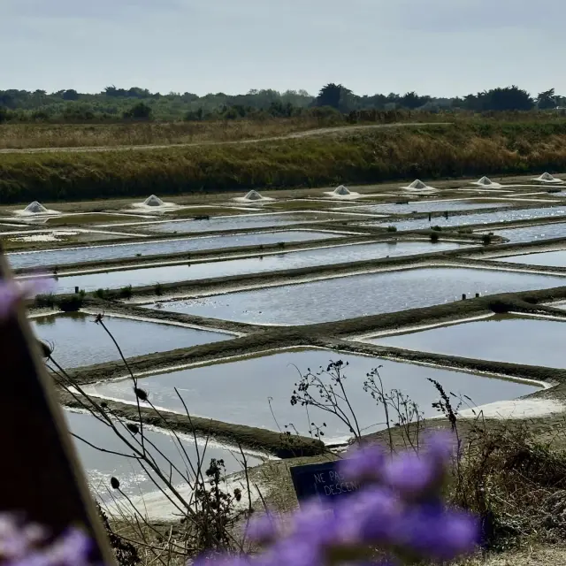 Instagram #lacouarde