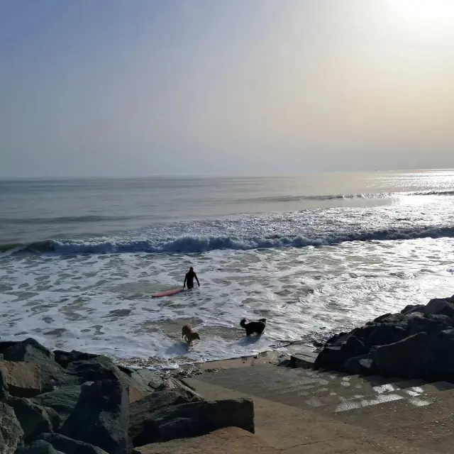 Instagram #lacouarde