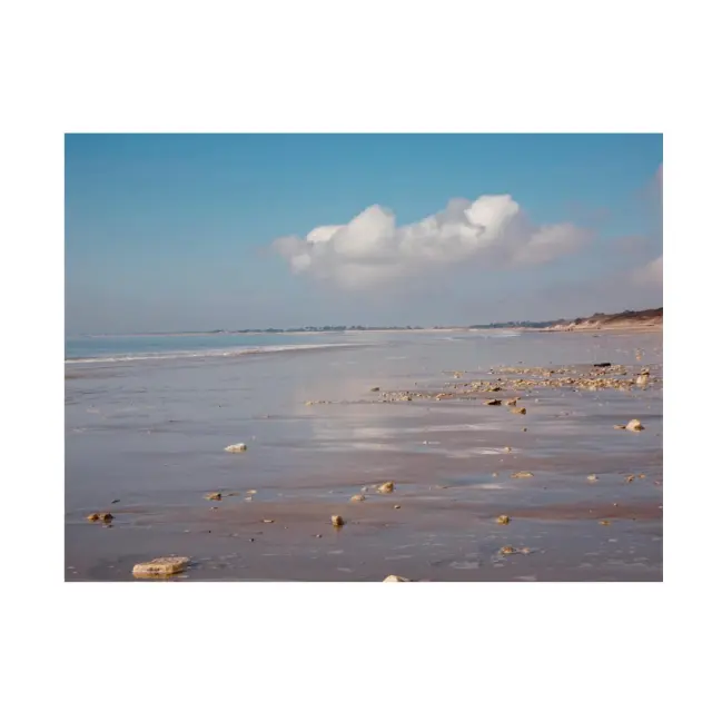 Instagram #lacouarde