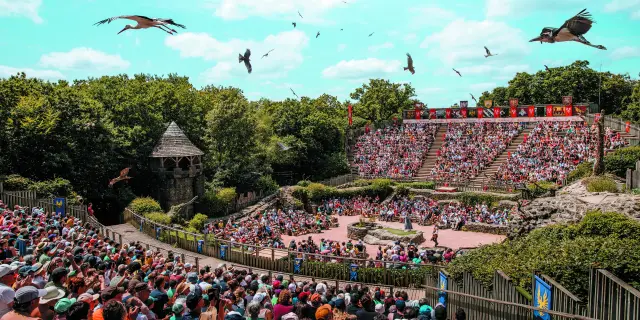 01 Le Bal Des Oiseauxfantomes Arnaud M