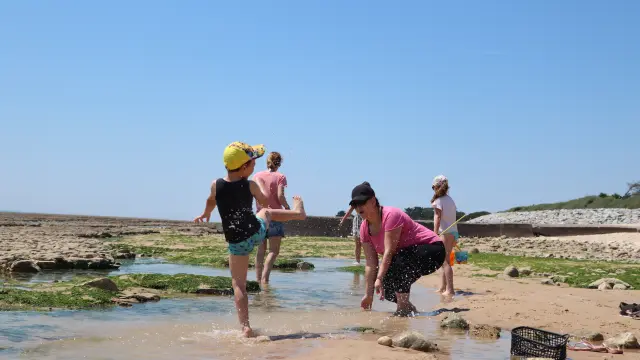 Des enfants explorent un bras d’eau sur l’estran à marée basse avec des adultes.