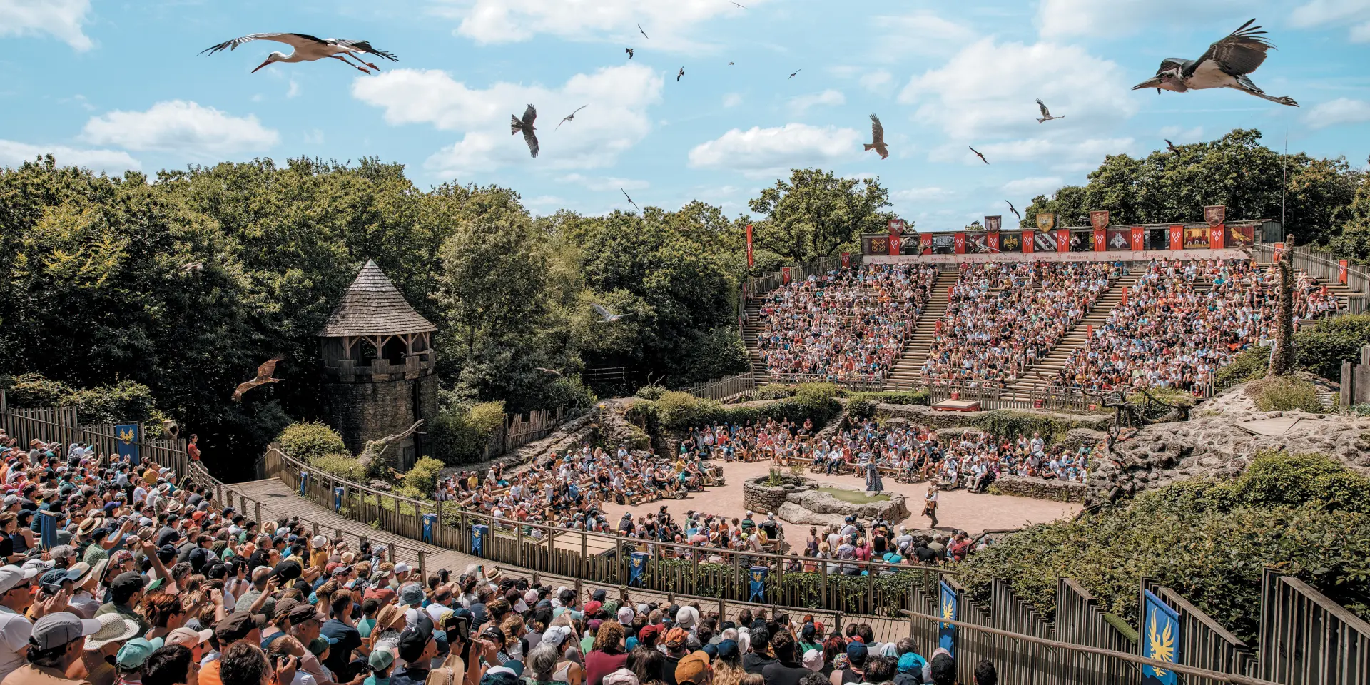 Spectacle de rapaces en vol au-dessus d’un amphithéâtre du Puy du Fou