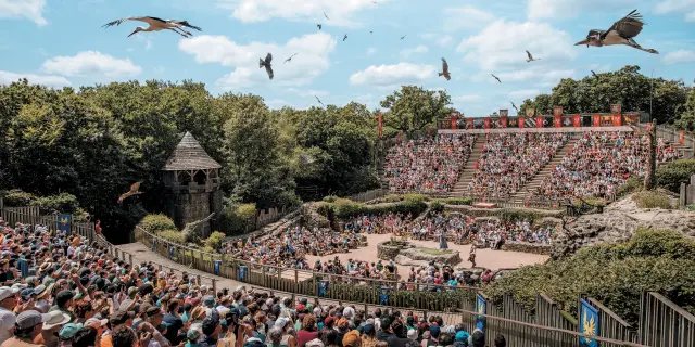 Spectacle de rapaces en vol au-dessus d’un amphithéâtre du Puy du Fou