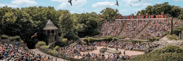 Spectacle de rapaces en vol au-dessus d’un amphithéâtre du Puy du Fou