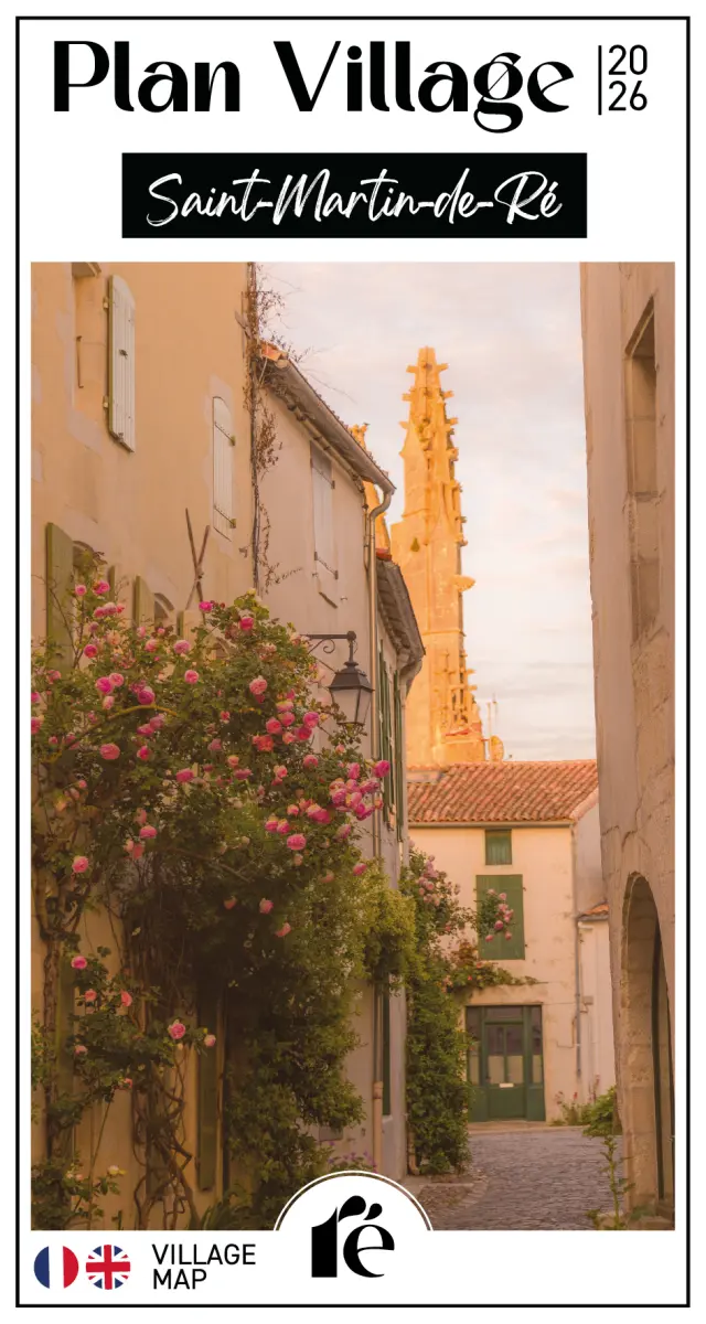 Plan de cobertura 2026 San Martín