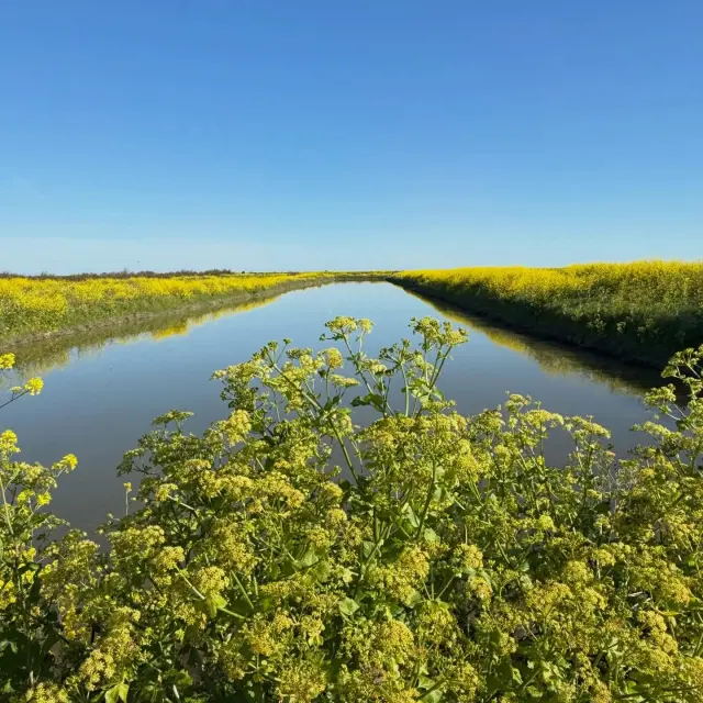 Instagram #ilederetourisme