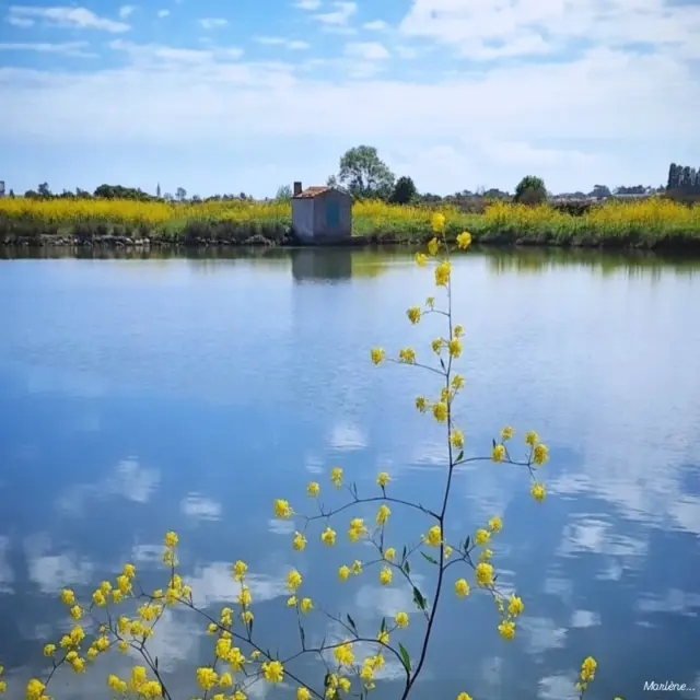 Instagram #ilederetourisme