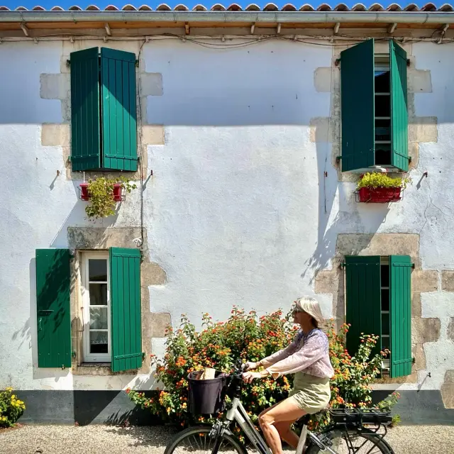 Instagram #iledere