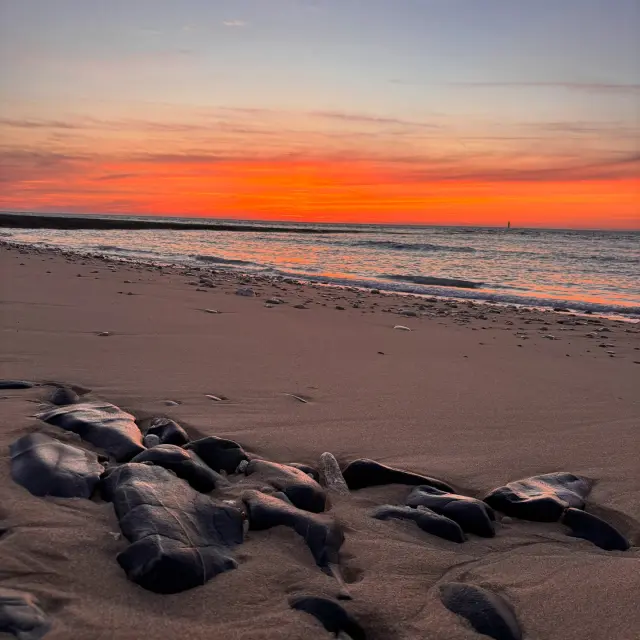 Instagram #iledere