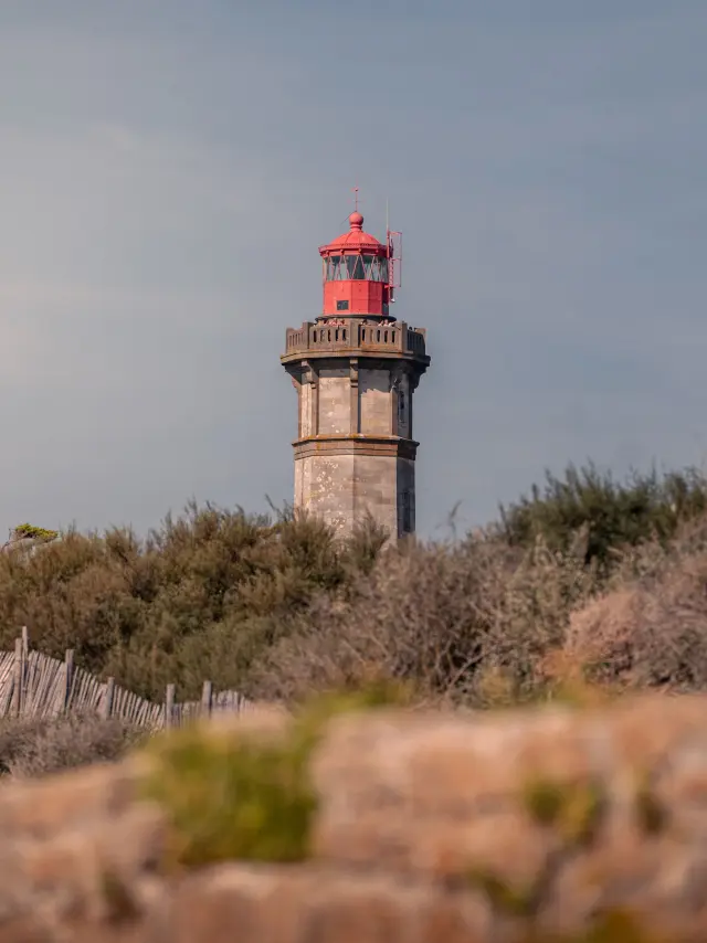 Phare en pierre s'élevant au-dessus de la végétation côtière.