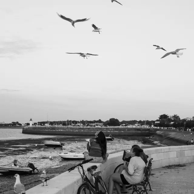 Instagram #iledere