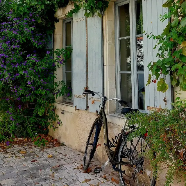 Instagram #iledere