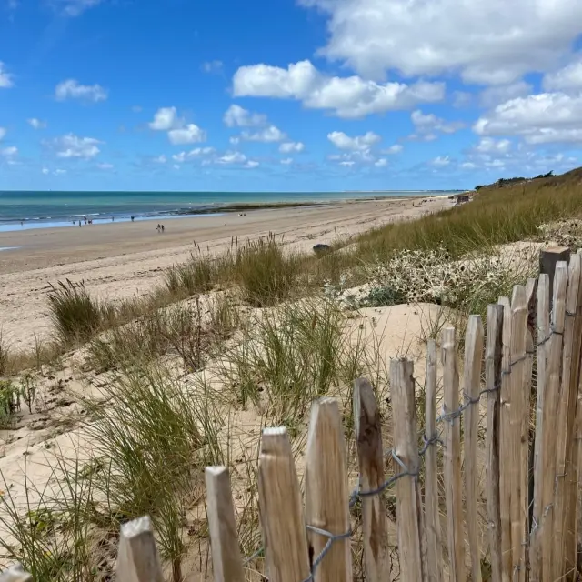 Instagram #iledere